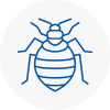 Bed Bug Extermination In Partick