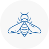 Bee Nest Removal Partick