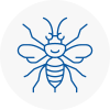 Partick Hornet Nest Removals