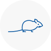 Mice Exterminators In Partick