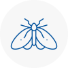 Moth Control Specialists In Partick