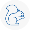 Partick Rodent Removals